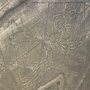 Geoglyf Pavouk