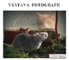 vstava PHOTOCONTEST