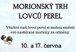 Lovci perel - sm�na morion�, nov� okno