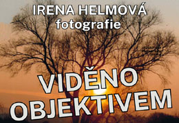 V�stava fotografi� Ireny Helmov�, plak�t - nov� okno
